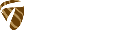 Tiger's Eye Insurance